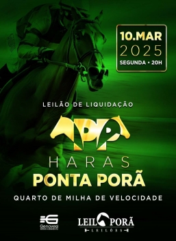 LEILAO DE LIQUIDAÇAO HARAS PONTA PORA